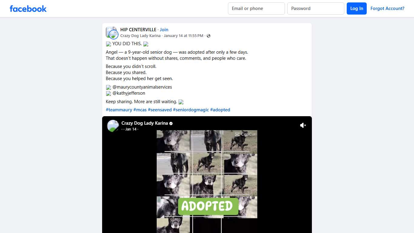 HIP CENTERVILLE 💛 YOU DID THIS Facebook